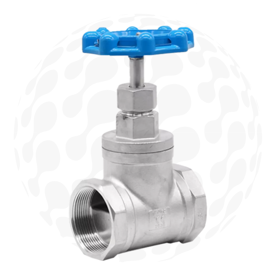 BSP Globe Valve